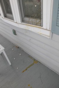 Vandals, Gay Street, Hunter Street, Tamaqua, 8-2-2014 (24)