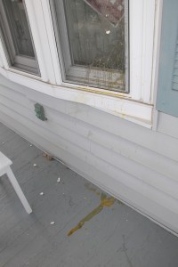 Vandals, Gay Street, Hunter Street, Tamaqua, 8-2-2014 (25)