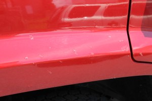 Vandals, Gay Street, Hunter Street, Tamaqua, 8-2-2014 (8)