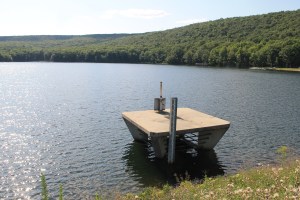 Views of Locust Lake State Park, Barnesville, 8-9-2014 (10)