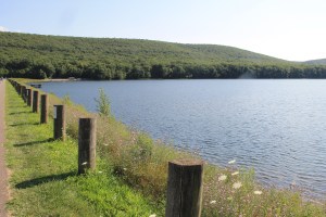 Views of Locust Lake State Park, Barnesville, 8-9-2014 (3)