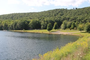 Views of Locust Lake State Park, Barnesville, 8-9-2014 (5)