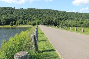 Views of Locust Lake State Park, Barnesville, 8-9-2014 (7)