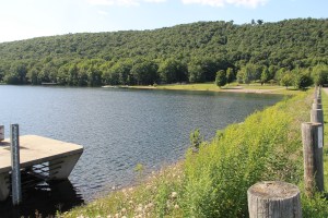 Views of Locust Lake State Park, Barnesville, 8-9-2014 (8)