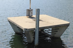 Views of Locust Lake State Park, Barnesville, 8-9-2014 (9)