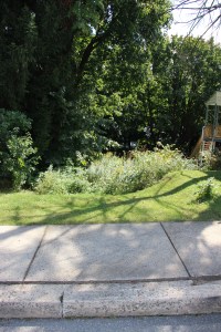 266 Van Gelder Street (2)