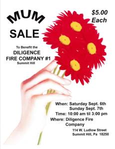 9-6-2014, Mum Sale, Diligence Fire Company, Summit Hill