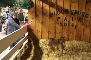 Bloomsburg Fair, Fairgrounds, Bloomsburg, 9-22-2014 (123)