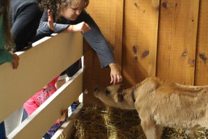 Bloomsburg Fair, Fairgrounds, Bloomsburg, 9-22-2014 (124)