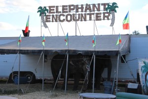 Bloomsburg Fair, Fairgrounds, Bloomsburg, 9-22-2014 (19)