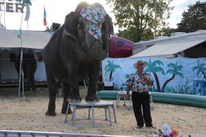 Bloomsburg Fair, Fairgrounds, Bloomsburg, 9-22-2014 (27)