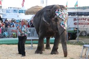 Bloomsburg Fair, Fairgrounds, Bloomsburg, 9-22-2014 (31)