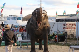 Bloomsburg Fair, Fairgrounds, Bloomsburg, 9-22-2014 (32)