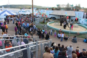 Bloomsburg Fair, Fairgrounds, Bloomsburg, 9-22-2014 (33)