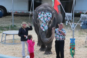 Bloomsburg Fair, Fairgrounds, Bloomsburg, 9-22-2014 (41)