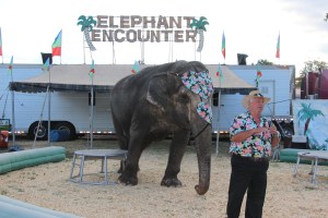 Bloomsburg Fair, Fairgrounds, Bloomsburg, 9-22-2014 (42)