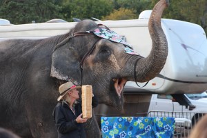 Bloomsburg Fair, Fairgrounds, Bloomsburg, 9-22-2014 (44)