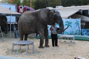 Bloomsburg Fair, Fairgrounds, Bloomsburg, 9-22-2014 (51)