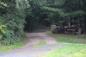 Body Found in Mountains Behind Seek, Coaldale, 9-6-2014 (15)