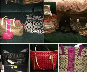 coach bingo purses bags
