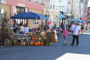 Lansford Alive Vendor and Craft Fair, Lansford, 9-27-2014 (13)