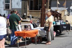 Lansford Alive Vendor and Craft Fair, Lansford, 9-27-2014 (3)