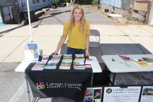 Lansford Alive Vendor and Craft Fair, Lansford, 9-27-2014 (8)