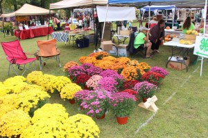 Mauch Chunk Lake Heritage Fest 2014, Mauch Chunk Lake State Park, Jim Thorpe, 9-20-2014 (25)