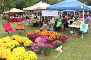 Mauch Chunk Lake Heritage Fest 2014, Mauch Chunk Lake State Park, Jim Thorpe, 9-20-2014 (27)