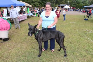 Mauch Chunk Lake Heritage Fest 2014, Mauch Chunk Lake State Park, Jim Thorpe, 9-20-2014 (75)