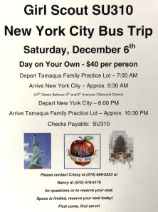 New York Bus Trip 2014, Tamaqua and Panther Valley Girl Scouts (4)