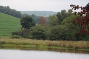 Nicholas Zeigler Annual Memorial Fishing Derby, Rosemount Camping Resort, Tamaqua (12)