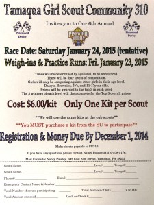 Pinewood Derby 2015, Tamaqua and Panther Valley Girl Scouts (3)