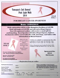 Pink Light Walk 2014, Tamaqua and Panther Valley Girl Scouts (5)