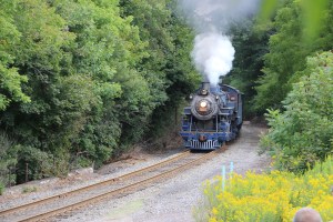 Reading and Northern Baldwin 425 Steam Train Travels Through Barnesville, 9-1-2014 (11)