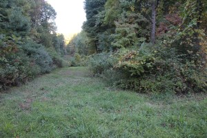 Search Training, Hometown, Tamaqua, West Penn, Fire Police, Hometown, 9-23-2014 (32)
