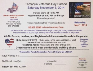 Tamaqua Veterans Day 2014 Parade, Tamaqua and Panther Valley Girl Scouts (6)