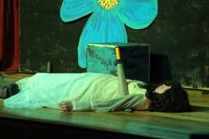 'The Woodsmen and the Fairy' & 'A Midsummer Night's Dream', Community Arts Center, Tamaqua (296)