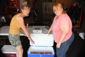 Zoostock, benefited American Cancer Society, Sports Zoo, Lansford, 9-1-2014 (9)