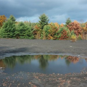 Fall Photos from Miranda Nothstein, Kaska, 10-16-2014 (1)