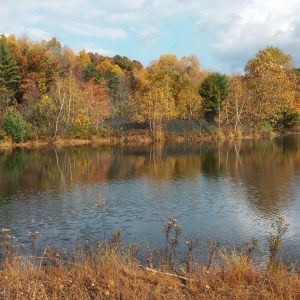 Fall Photos from Miranda Nothstein, Kaska, 10-16-2014 (6)