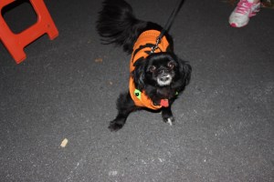 Fire Prevention Program, Hometown Fire Company, Hometown, 10-8-2014 (146)