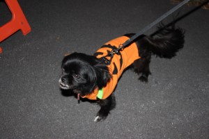 Fire Prevention Program, Hometown Fire Company, Hometown, 10-8-2014 (148)