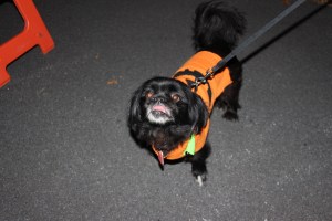 Fire Prevention Program, Hometown Fire Company, Hometown, 10-8-2014 (149)