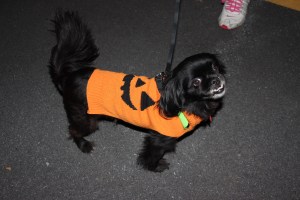 Fire Prevention Program, Hometown Fire Company, Hometown, 10-8-2014 (150)