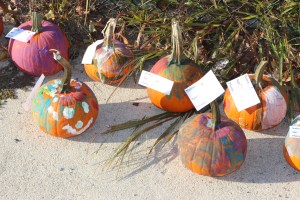 Lansford Alive Kids Safe Trick Or Treat, Ridge Street, Lansford, 10-25-2014 (51)