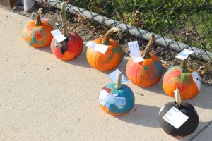 Lansford Alive Kids Safe Trick Or Treat, Ridge Street, Lansford, 10-25-2014 (53)