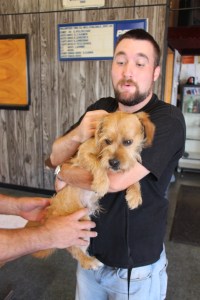 Pet Show via Coaldale VFW Auxiliary, Coaldale Fire Company, Coaldale, 9-28-2014 (1)