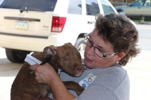 Pet Show via Coaldale VFW Auxiliary, Coaldale Fire Company, Coaldale, 9-28-2014 (112)
