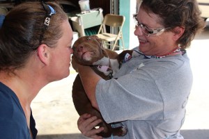 Pet Show via Coaldale VFW Auxiliary, Coaldale Fire Company, Coaldale, 9-28-2014 (114)